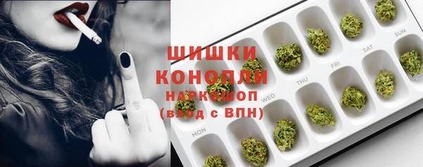 PSILOCYBIN Алзамай