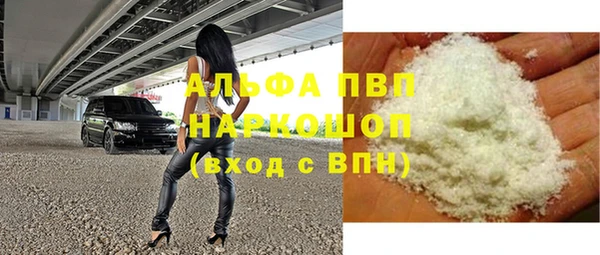 PSILOCYBIN Алзамай