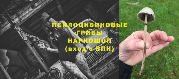 таблы Алексеевка