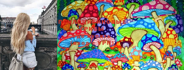 PSILOCYBIN Алзамай