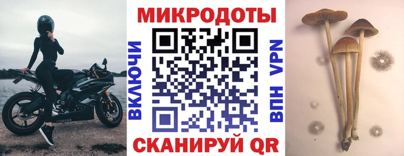 Псилоцибиновые грибы мухоморы Ивдель