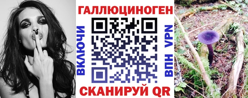 Псилоцибиновые грибы прущие грибы  Ивдель 