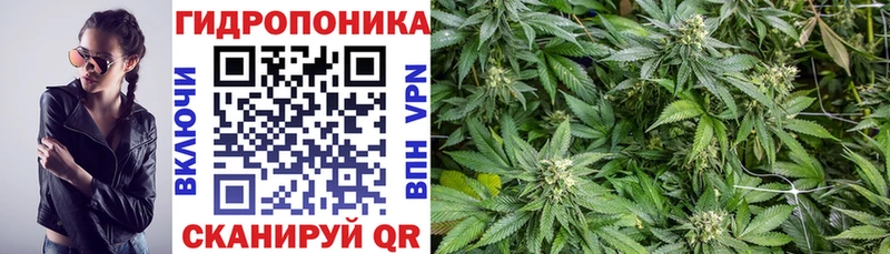 Шишки марихуана AK-47 Ивдель